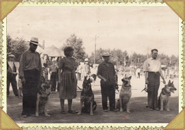 Участники выставки собак