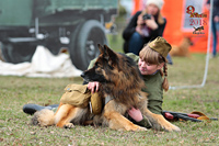 Собаки на войне вывозили раненных