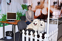 Породы собак - стенды на интернациональной выставке Огни Прикамья 2014