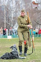 Собаки разыскивали мины на войне