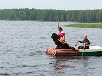 Соревнования с собаками - служба спасения на водах 2012 г