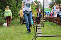 Дрессировка собак - выступление спортсменов на фестивале Сады над Камой 2019