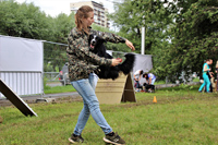 Выступление спортсменов с собаками на фестивале Сады над Камой 2019
