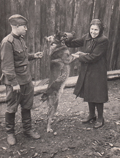 Передача собак в армию, собаку передаёт Понасюк Мария, Тополевый переулок 1944 год