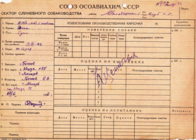 Родословная 1942 год
