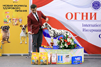    CACIB   2016