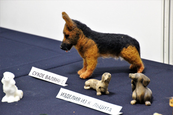 Детский познавательный музей собаководства