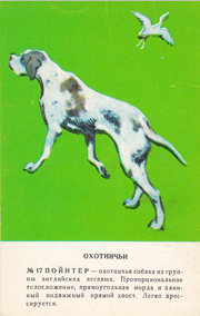 Коллекция открыточек с собаками