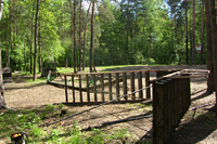 Строительство площадки для дрессировки собак, Балатовский парк