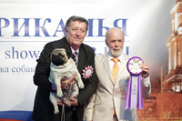   

   - 2013 CACIB