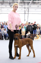 Интернациональная выставка собак - Огни Прикамья 2020