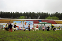 Выставка собак Кураж - 2017 и Белые ночи в Перми - 2017