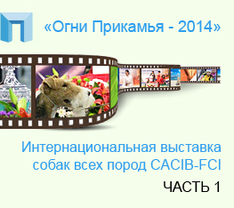      CACIB   - 2014,  1