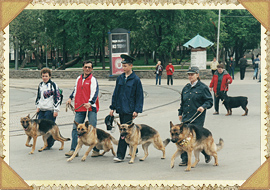 Шествие с собаками в День города