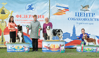 Выставка собак Белые ночи в Перми - 2019 и Кураж - 2019