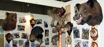 Выставка охотник и рыболов