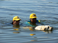 Служба спасения на водах - 2011