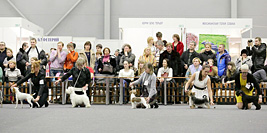     - 2014  CACIB FCI