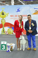 Награждение победителей выставки собак CACIB Огни Прикамья 2017