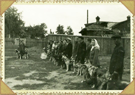 Группа по дрессировке собак. 2-я собака Чемма вл. Иванова