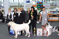 Всероссийская выставка собак - Осенний калейдоскоп 2012