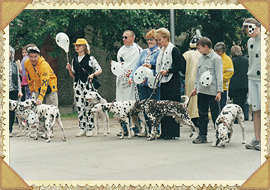Карнавальное шествие с собаками в День города