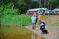 ССВ - Служба спасения на водах с применением служебных собак