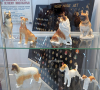 Экспозиция музея собаководства - Спорт с собаками, выставка Пермский период 2022