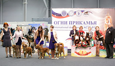 Выставка собак Огни Прикамья - 2014 ранга CACIB FCI