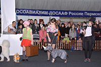 Костюмированный ринг - выставка собак Огни Прикамья 2014