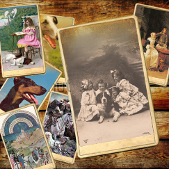 Коллекция старинных открыток с собаками