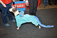 Костюмированный ринг