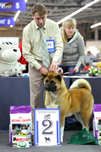   CACIB   2017