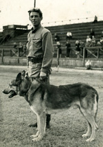 собака Джек, вл. Хорошавин, 1949 г.