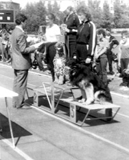 1 место - трёхкратная Чемпионка СССР, м.с. Е. Горшкова - 3 место