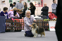    CACIB   2016