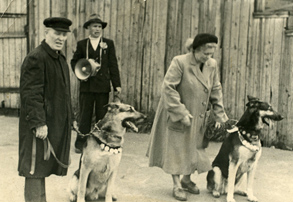 Победители выставки собак 1961 года - Уран вл Морозов, Гроза вл Корек