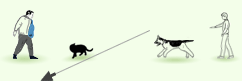 ЗКС - бегущая кошка