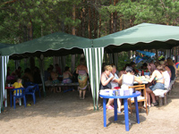  -   2008