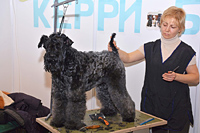 Породы собак - стенды на интернациональной выставке Огни Прикамья 2014