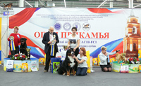Награждение победителей выставки собак CACIB Огни Прикамья 2017