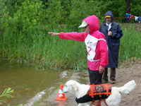Служба спасения на водах с применением служебных собак 2017 Полазна