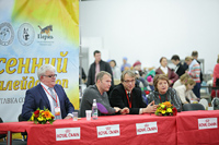   -   2016