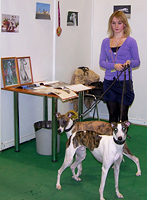 Выставка собак охотничьих пород