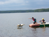 Соревнования с собаками - служба спасения на водах 2012 г