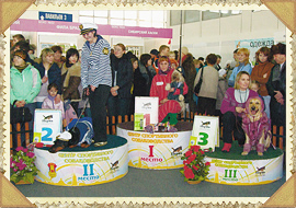 Костюмированный ринг - выставка собак на Пермской ярмарке