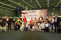 Интернациональная выставка собак всех пород CACIB Огни Прикамья - 2014