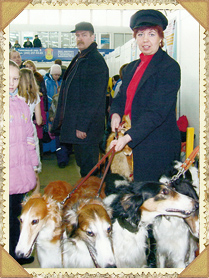 Выставка собак на Пермской ярмарке