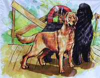 Эмблема соревнований с собаками