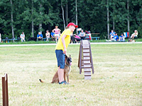 Чемпионат России - соревнования с собаками